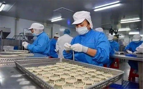 在小縣城投入20萬辦廠 聚焦寵物食品，掘金藍(lán)海市場的快車道